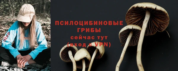 стафф Алзамай