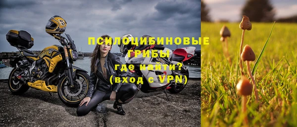 стафф Алзамай