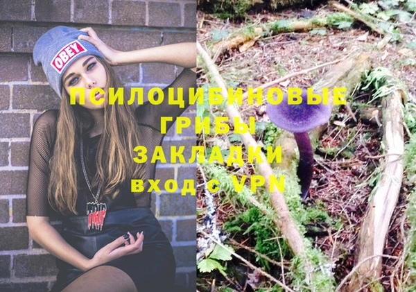 стафф Алзамай